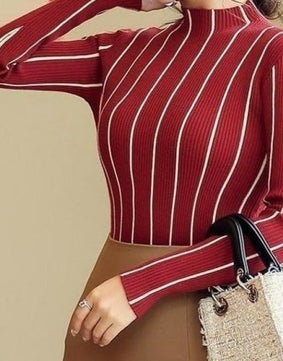 Striped Knit Turtleneck Blouse