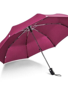 Mini Foldable Umbrella